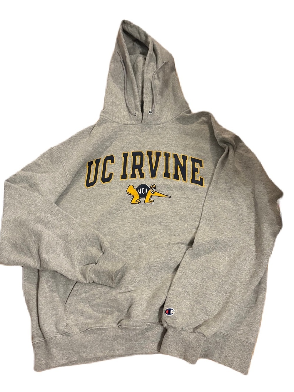 Champion Gray UC Irvine Hooded Sweatshirt Large University of California